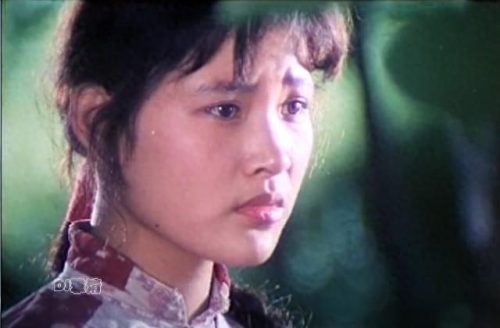 风华绝代 刘晓庆(刘晓庆裙子写真图片)插图5