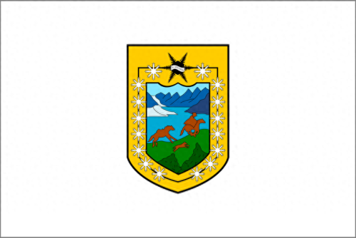 智利国旗(各国国旗)插图11