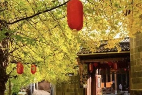 海口舒适酒店排名前十(海口市高档酒店好评排行榜)插图41