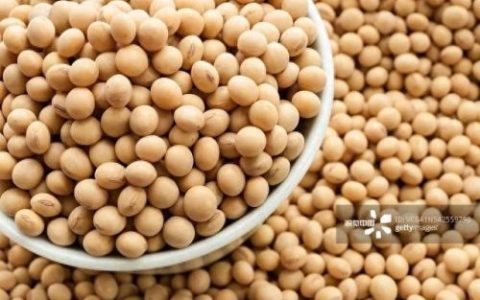 缅甸豆类产量排名前十(缅甸十大蔬菜价格)