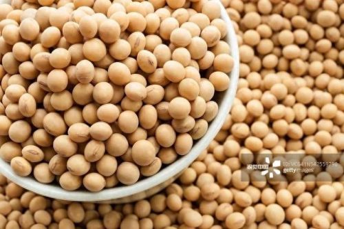 缅甸豆类产量排名前十(缅甸十大蔬菜价格)插图