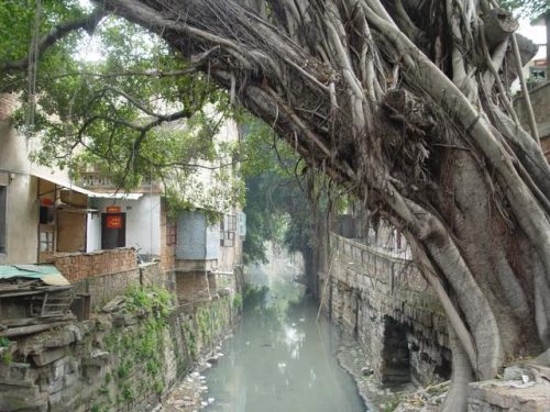 漳州灯光公司排名前十(最近漳州科目三考试灯光怎么样)插图6