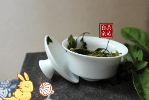 什么不怕开水烫(被100度开水烫怎么办)插图1