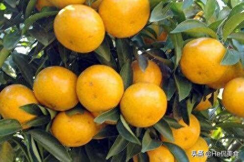 合山美食排名前十(合山市什么好吃)插图17