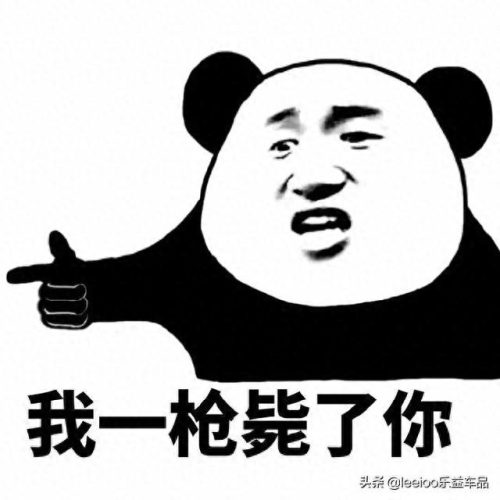 酒驾受惩罚排名前十的国家(摩尔多瓦酒驾惩罚)插图10