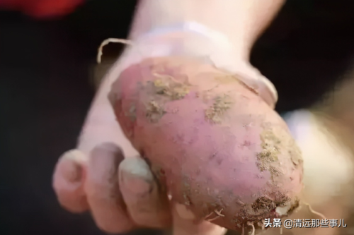 连州酒店美食排名前十(连州十大美食一条街)插图31
