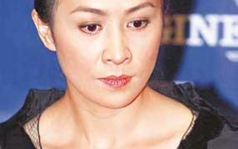 刘嘉玲东周刊(刘慧玲绑架案照片东周刊)