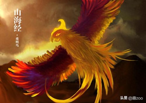 乌鸦世界排名前十(乌鸦战斗力排名)插图7