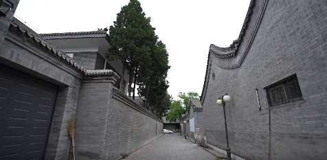 中国动物房子排名前十(动物房子的图片大全)插图1