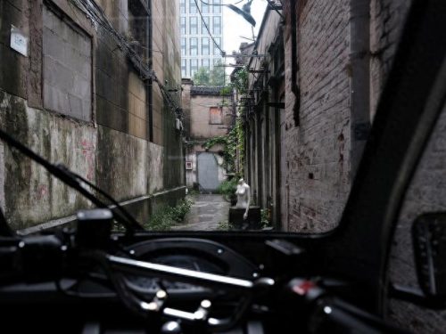 《相对湿度》作者-可有可无(相对湿度在线阅读免费)插图8