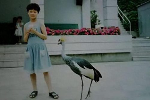 惠若琪男友(惠若琪是生了二胎吗)插图3