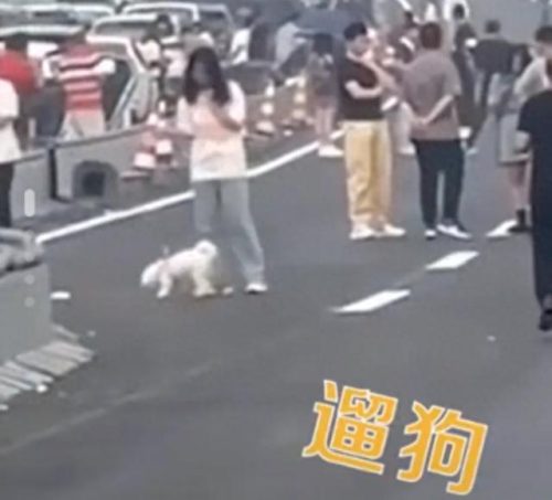 堵车图片(晚上堵车图片)插图3