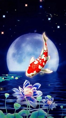 鱼鱼桌面秀(鱼鱼桌面秀侧边栏)插图115