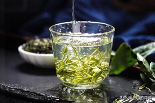 排名前十的长寿(全国长寿排名前十)插图5