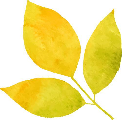 白露节气的特点和风俗(白露的寓意和象征)插图4