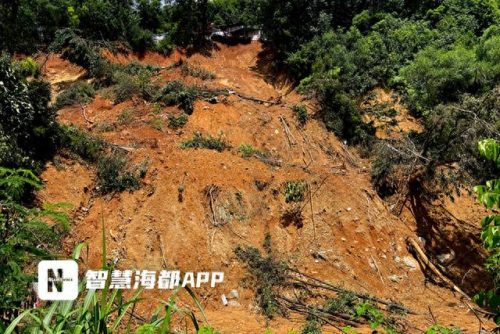前方遭遇塌方(前方遭遇塌方读后感100字)插图2