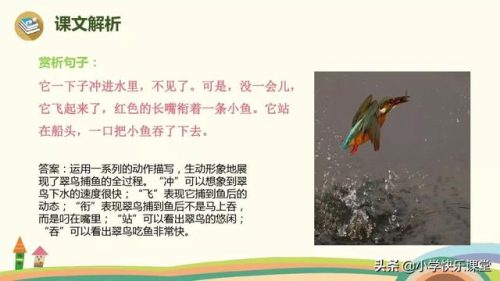 美观的反义词是什么(美观近义词)插图17