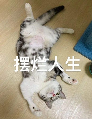 工作强度排名前十(工作难度排行榜)插图2