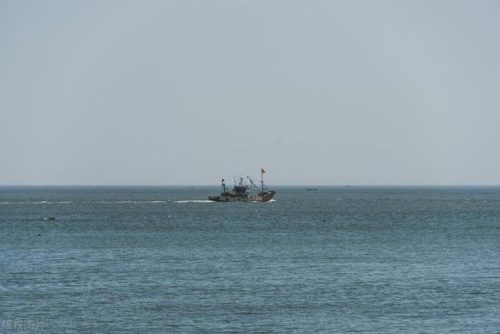 大连海岛旅游排名前十(大连海岛民宿推荐)插图19