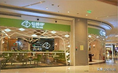 老狼信息网仙踪林-八零婚纱摄影工作室(老狼摄影图片)插图4