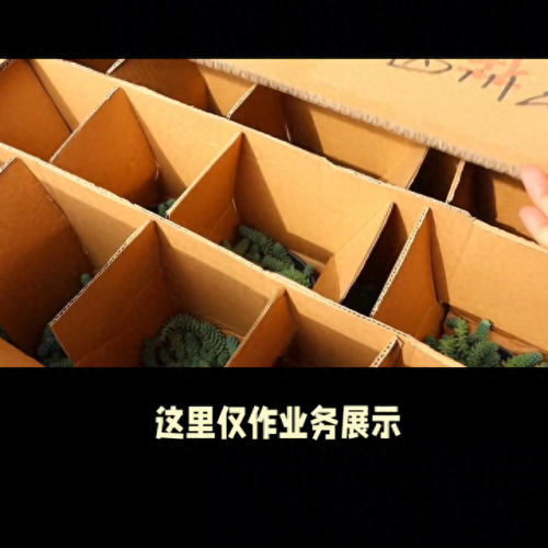 同城套餐排名前十(同城套餐是啥)插图1
