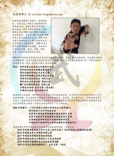 新加坡武术团队排名前十(新加坡武术配乐)插图1