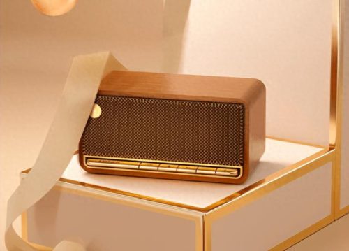 500音响排名前十(500以内品牌音响)插图1