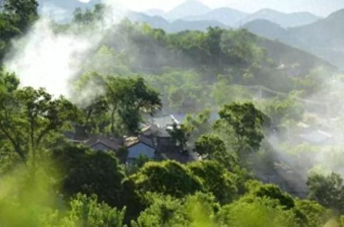管中窥豹略见一斑(管中窥豹故事原文)插图