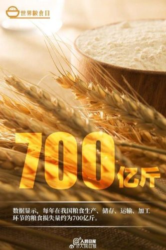 第40个世界粮食日(第40个世界粮食日主题)插图1
