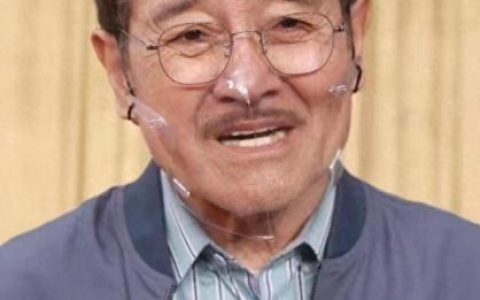 刘丹刘恺威(刘丹个人资料)