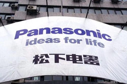 甲醛国内排名前十(排名第一的吸甲醛的花)插图3