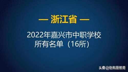 桐乡市民办学校排名前十(桐乡市排名第一的小学)插图