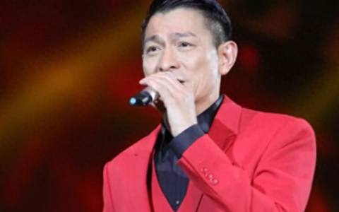 湖南卫视跨年演唱会2013刘德华(刘德华)