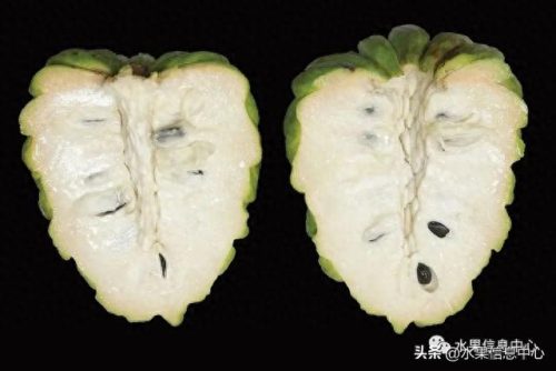 释迦果排名前十(释迦果什么口感最好)插图12