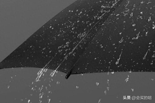 雨伞品牌 排名前十(雨伞牌子排行前十名)插图12