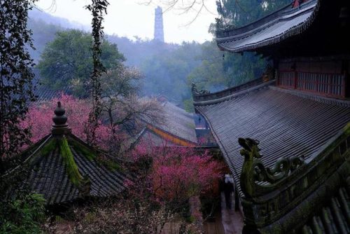 全国先进寺院排名前十(北京道教寺院排名)插图4