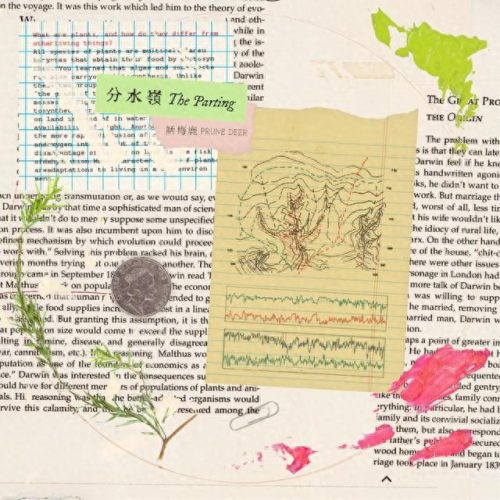 叶秉恒(叶秉桓我爱你完整版)插图7