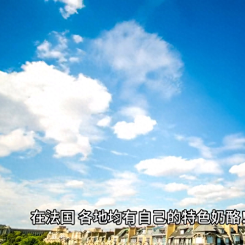 外国各种奶酪排名前十(一块奶酪)插图