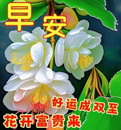 心存感恩图片(感恩图片)插图10