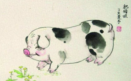 见异思迁是什么生肖(见异思迁比喻什么动物)插图