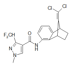 甲基萘生产厂家排名前十(正规药用苯酚厂家价格)插图