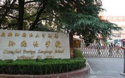 大唐小学排名前十(雁塔第十小学排名)