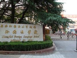 大唐小学排名前十(雁塔第十小学排名)插图