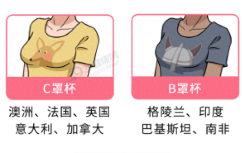 全球胸围排名前十(女性平均胸围省份排名)
