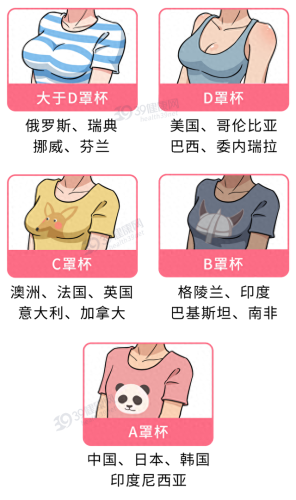 全球胸围排名前十(女性平均胸围省份排名)插图