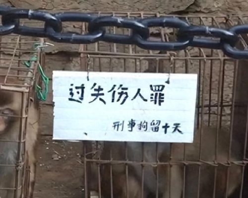 最好笑的图片(弱智人图片)插图2