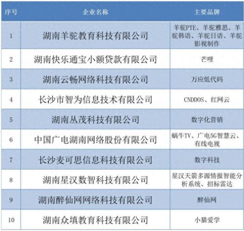 长沙互联网大厂排名前十(互联网大厂排名前十)插图1