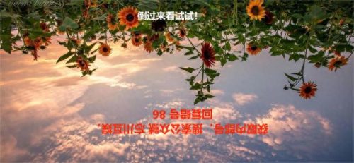 神仙道材料大全(神仙道材料出处)插图2