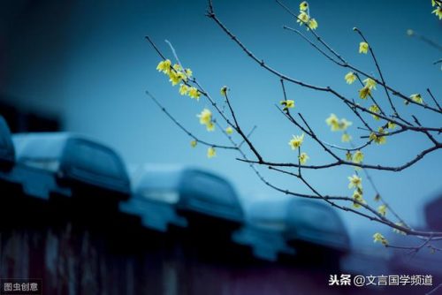 随风潜入夜的下一句(随风潜入夜润物细无声)插图3