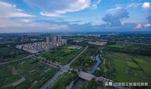 各地农业排名前十(中国农业之最一览表)插图